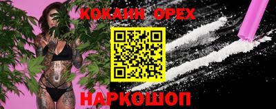 индика Дубна