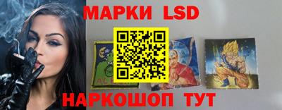 индика Дубна
