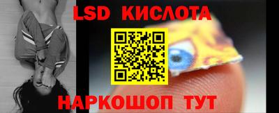 индика Дубна
