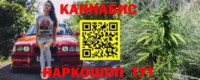 индика Дубна