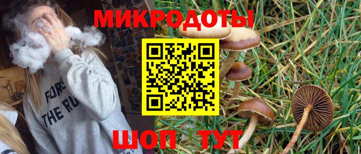 Псилоцибиновые грибы прущие грибы Мыски
