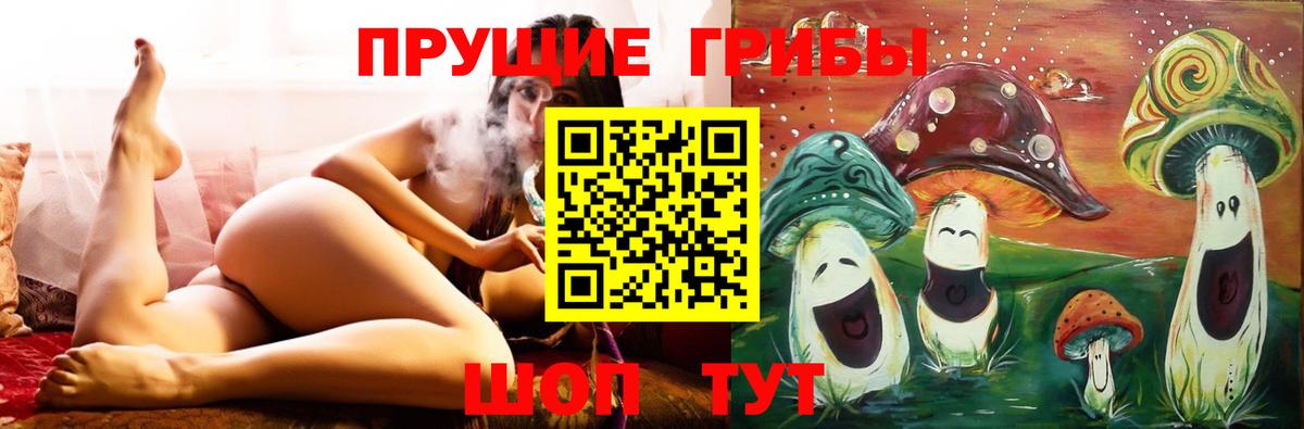 Мыски  Псилоцибиновые грибы ЛСД  Псилоцибиновые грибы GOLDEN TEACHER  Вход с VPN 